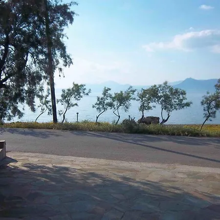 Villa Alepokhori Beach Stunning With Olympic Pool Sterna