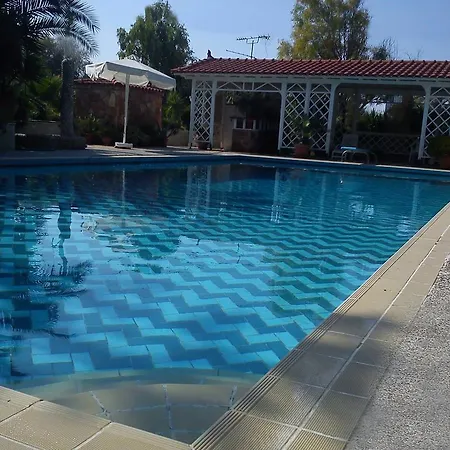 Alepokhori Beach Stunning With Olympic Pool Sterna