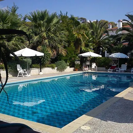 Alepokhori Beach Stunning With Olympic Pool Βίλα