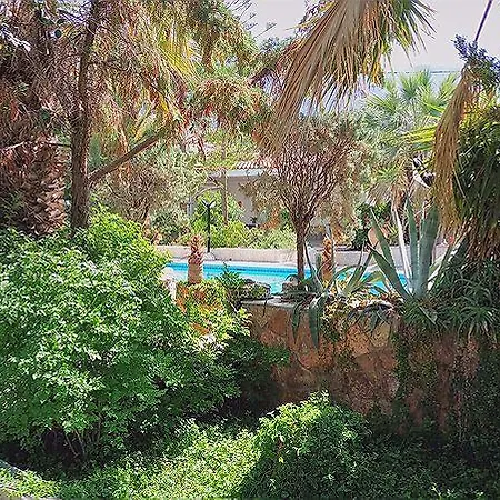 Villa Alepokhori Beach Stunning With Olympic Pool